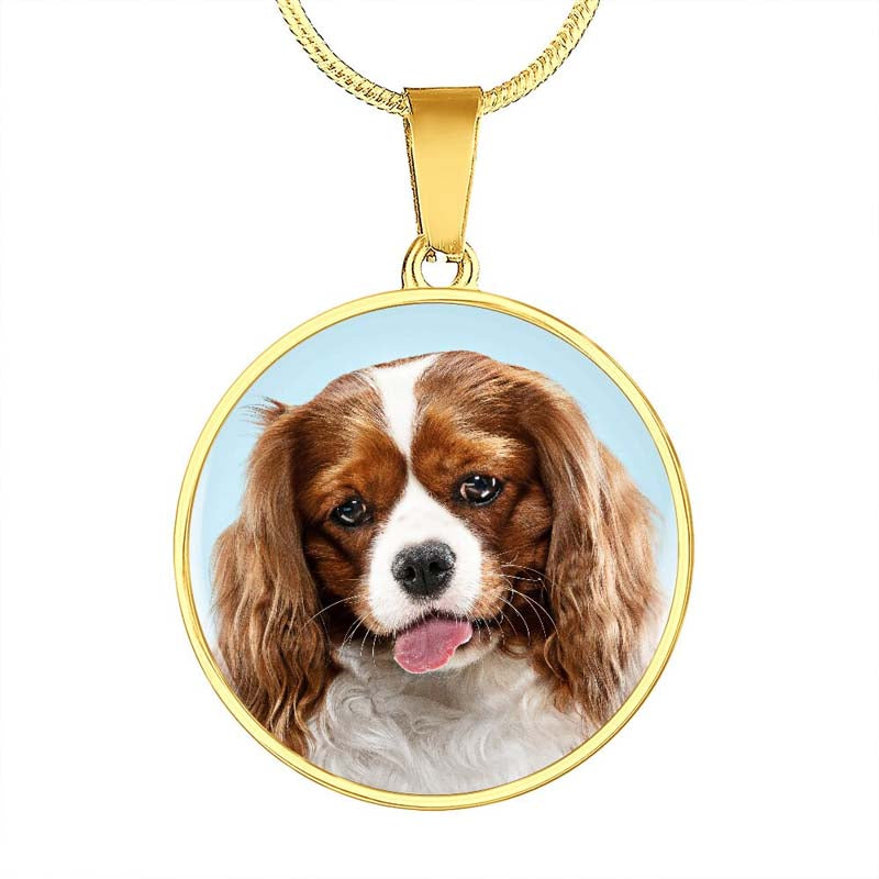 Custom Photo Memorial Necklace Adjustable "Dog Is The Best Friend "-N036