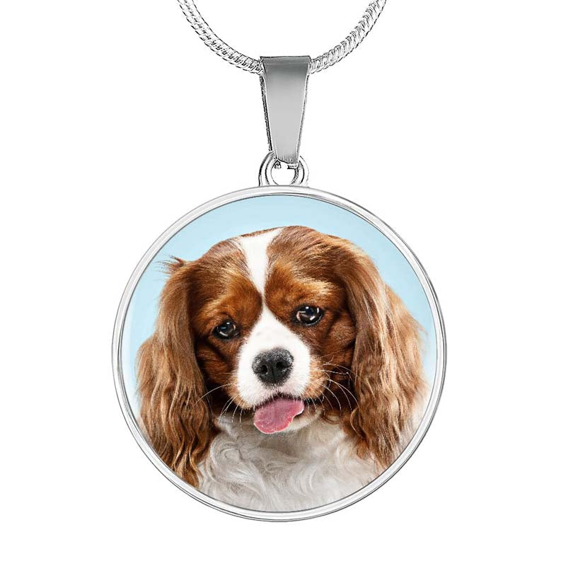 Custom Photo Memorial Necklace Adjustable "Dog Is The Best Friend "-N036